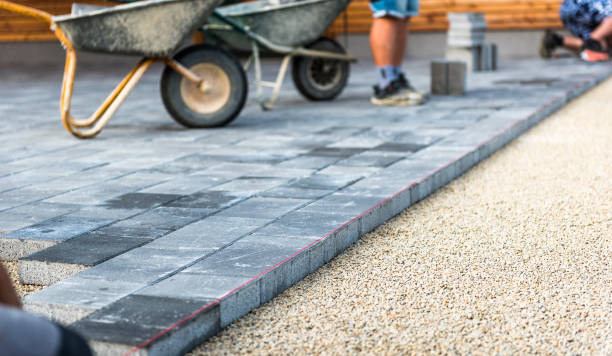 Best Driveway Paving Company  in Winsted, MN